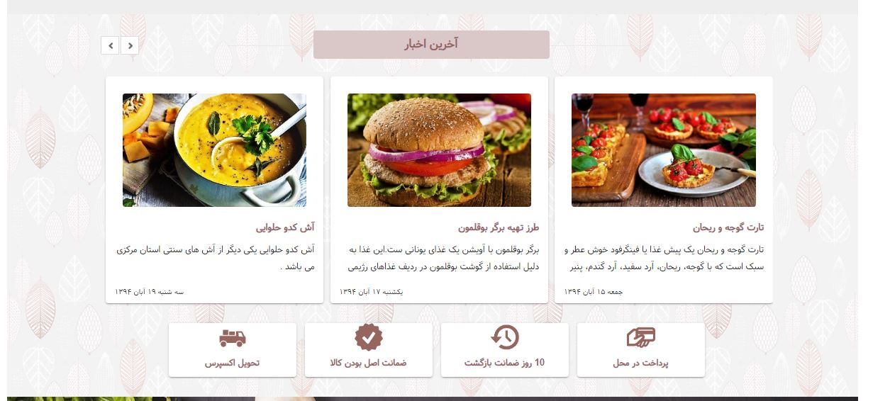 طراحی سایت فروش اینترنتی غذا و فست فود 